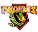 河南豫光金铅女篮[8]