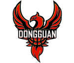 东莞新彤盛女篮[1]